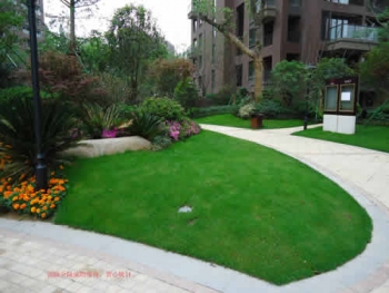 二、植物造景