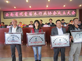 实现由苗木输入变为苗木商品化输出