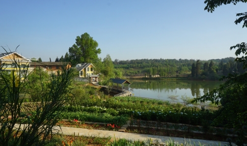 我们认为仅技术研究还远远不够，还要把这些好的技术成果转化利用，解决当今面临的环境问题，为社会服务