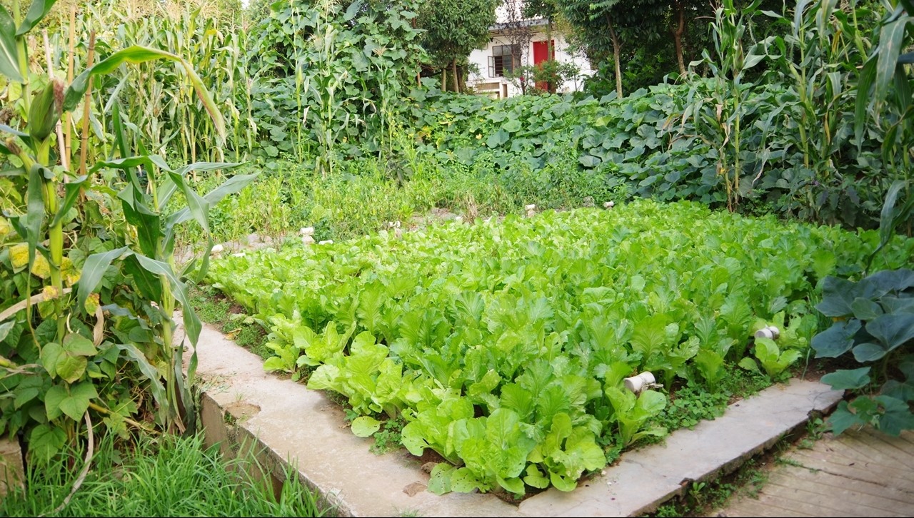 土地，水，垃圾等环境问题，<br>用最尖端的科技来维护