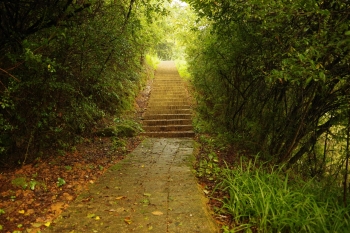 全网担保网目标