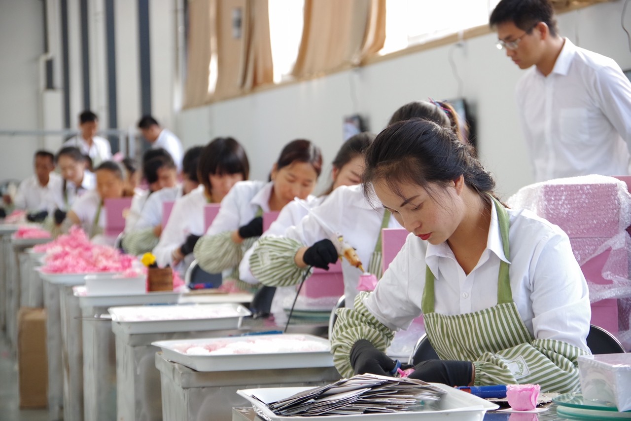 环境研究过程中，“保鲜花”的诞生，<br>将为您打造美好生活