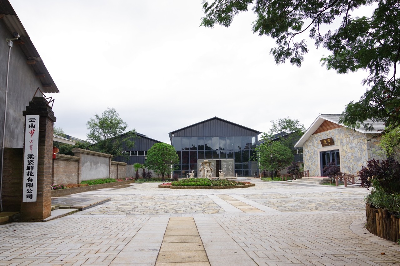 生态环境的重要意义，<br>可以从这里学习和了解